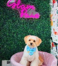 E6FA895F-16EE-4D2D-B5CE-2AB57A1C4EDE